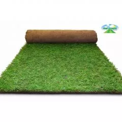 Premium Lawn Turf